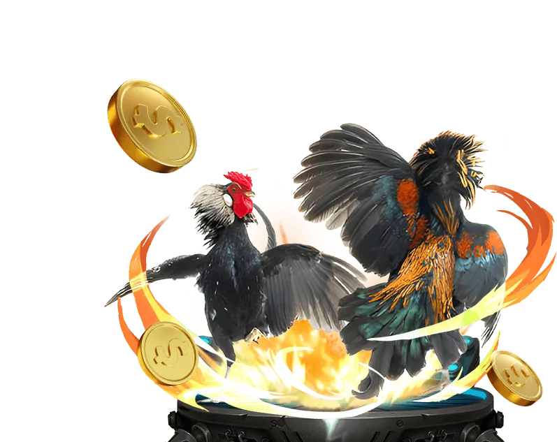 Kèo Meron trong đá gà trực tuyến